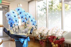 開院祝いの花